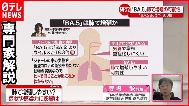 【専門家解説】感染力強い「BA.5」肺で増殖しやすい？ 新型コロナ感染急拡大