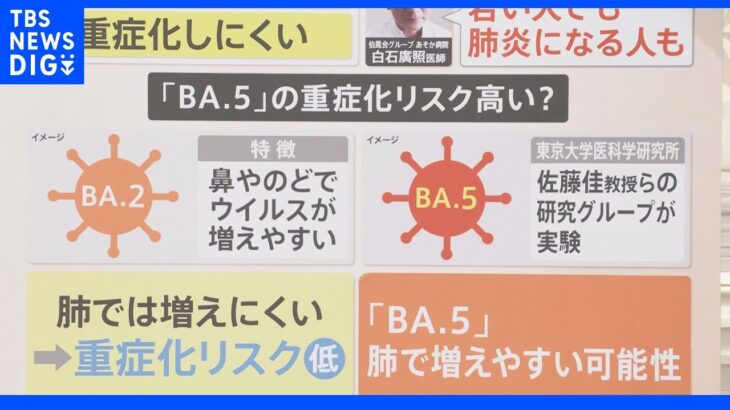 「重症化リスクが高い可能性」【BA.5】は肺で増殖するという研究結果も…｜TBS NEWS DIG