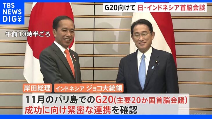 日・インドネシア首脳会談　バリ島でのG20成功に向け連携を確認｜TBS NEWS DIG