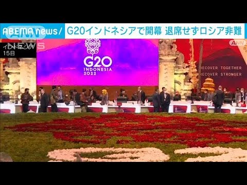 G20インドネシアで開幕　退席せずロシア非難(2022年7月16日)