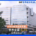 IMF　世界経済見通し3.2％に引き下げ｜TBS NEWS DIG
