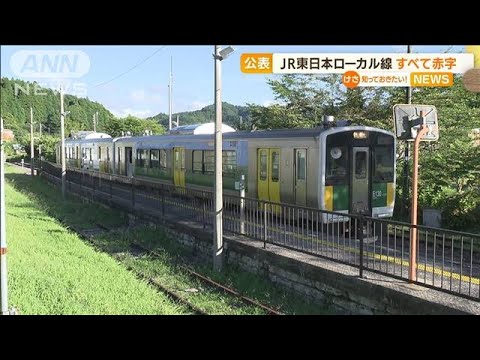JR東日本「ローカル線」　“すべて赤字”存続の危機(2022年7月29日)