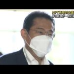 岸田総理　NPT再検討会議での一般討論演説を発表(2022年7月29日)
