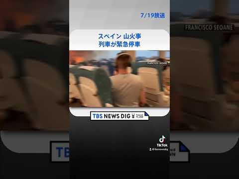 スペイン 山火事で列車が緊急停車 #shorts | TBS NEWS DIG