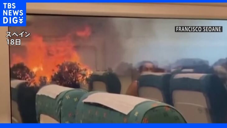 スペイン 山火事で列車が緊急停車｜TBS NEWS DIG