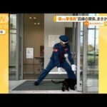 猫vs警備員“因縁の関係”に異変…仲良く出勤を！？(2022年7月20日)