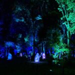 長居植物園×チームラボ　デジタル技術を使ったアートな自然　異色コラボで夜の時間帯を有効活用