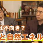 【自然エネルギー】橋下徹×辛坊治郎「日本に資源がないはバカの発言」実はエネルギーの宝庫だった？