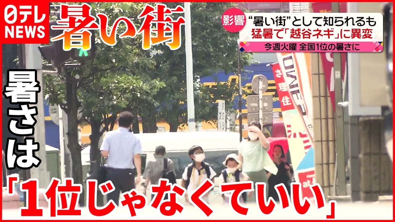 【埼玉・越谷市】“暑い街”全国1位にも 40℃に迫る暑さ続き…特産ネギに異変