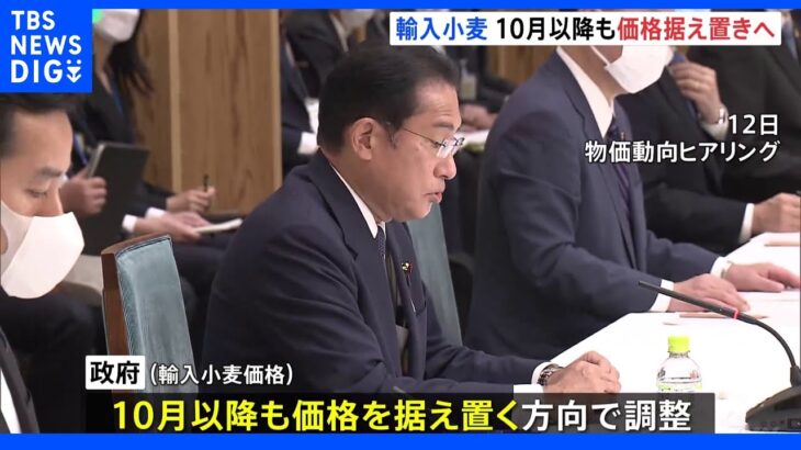 政府　輸入小麦の売り渡し価格10月以降も据え置きへ　15日に岸田総理が指示｜TBS NEWS DIG