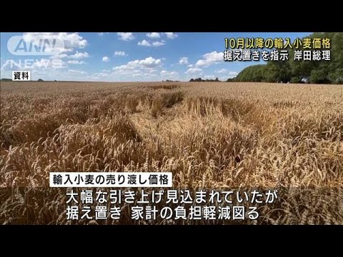 輸入小麦の価格　10月以降の据え置き指示　岸田総理(2022年8月15日)