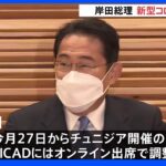 岸田総理コロナ感染 今後10日間は公邸で“リモート公務” アフリカ開発会議もオンライン出席で調整へ｜TBS NEWS DIG