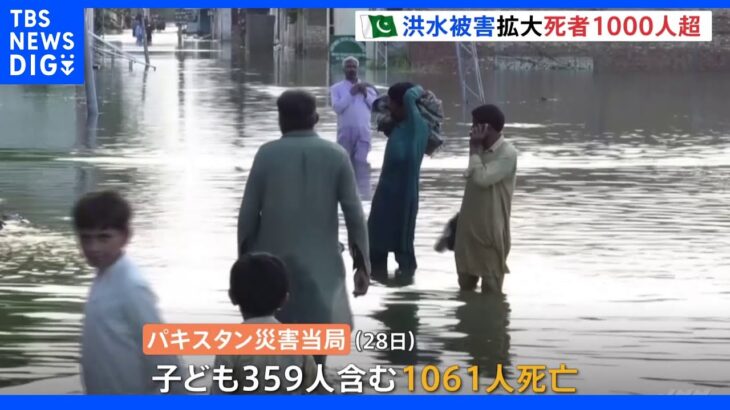 “死者1000人超”パキスタンで大規模水害 「かつてない甚大な被害だ」国際社会に支援求める｜TBS NEWS DIG