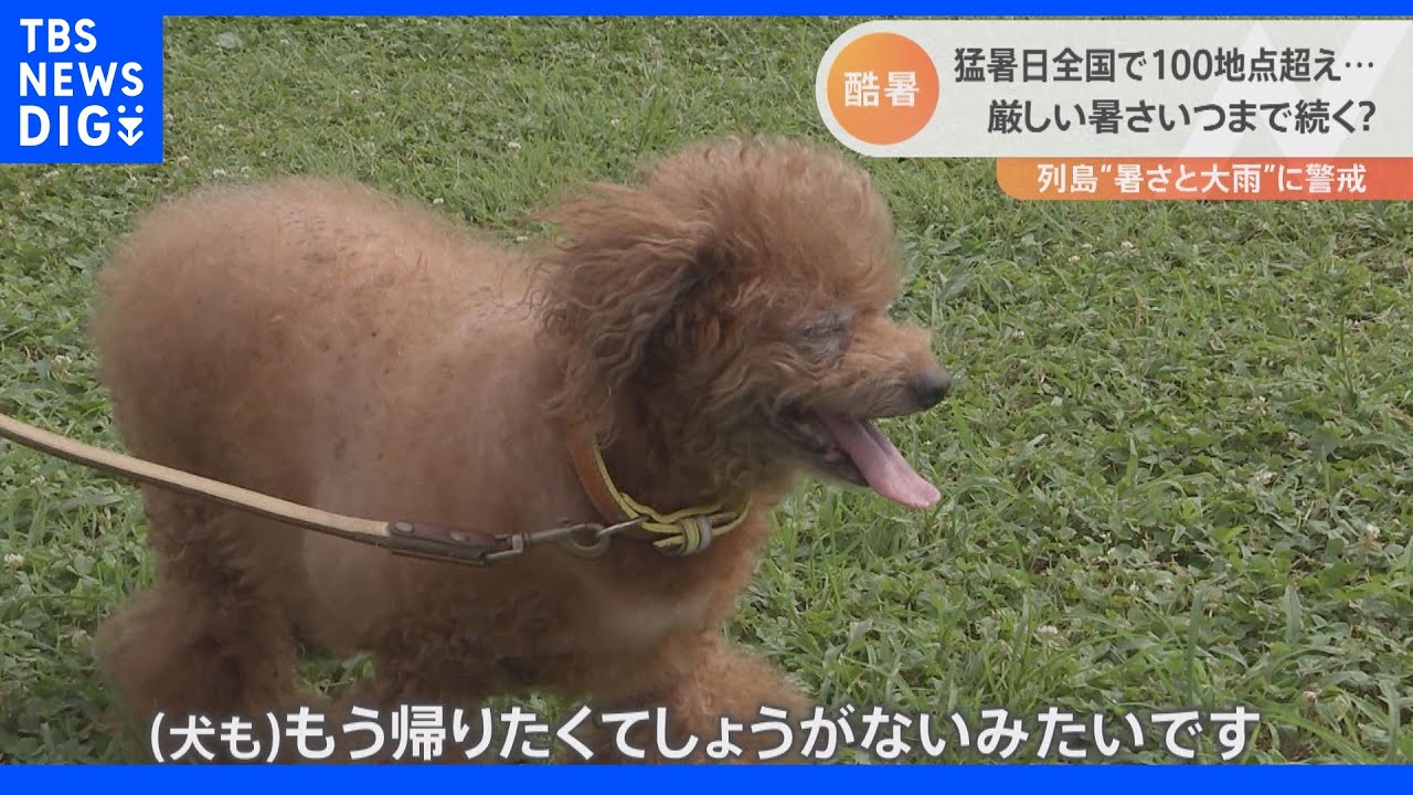 犬も帰りたがる…全国101地点で猛暑日 北日本では大雨|TBS NEWS DIG