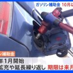 ガソリン補助金 10月以降の延長検討｜TBS NEWS DIG