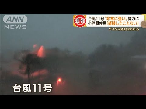 台風11号“非常に強い”勢力に…車横転　バイク倒れ　小笠原住民「経験したことない」(2022年8月30日)