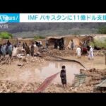 経済低迷と洪水被害のパキスタンに11億ドル支援へ　IMF(2022年8月30日)
