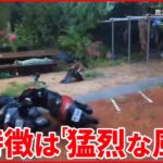 【今シーズン“最強”】台風11号が沖縄に接近 最大瞬間風速「70メートル」家屋倒壊の恐れ