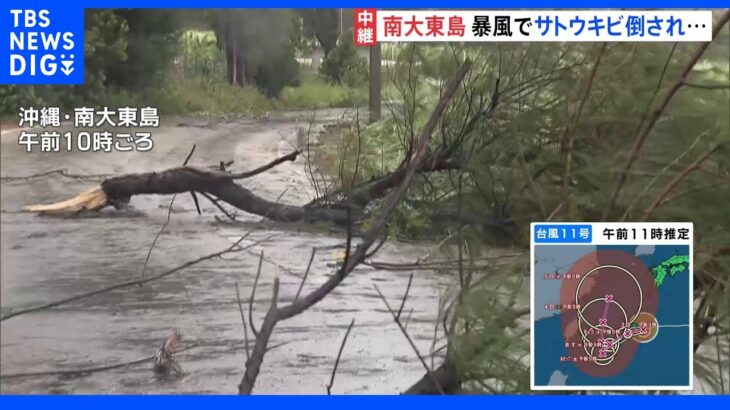 「台風11号は沖縄付近で動き遅くなり影響長引く」「北日本や東日本、西日本でも雨に警戒を」気象予報士解説｜TBS NEWS DIG