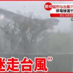 【台風11号】沖縄に接近 予測難しい“迷走台風”日本列島に被害も…