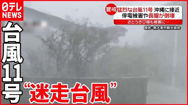 【台風11号】沖縄に接近 予測難しい“迷走台風”日本列島に被害も…