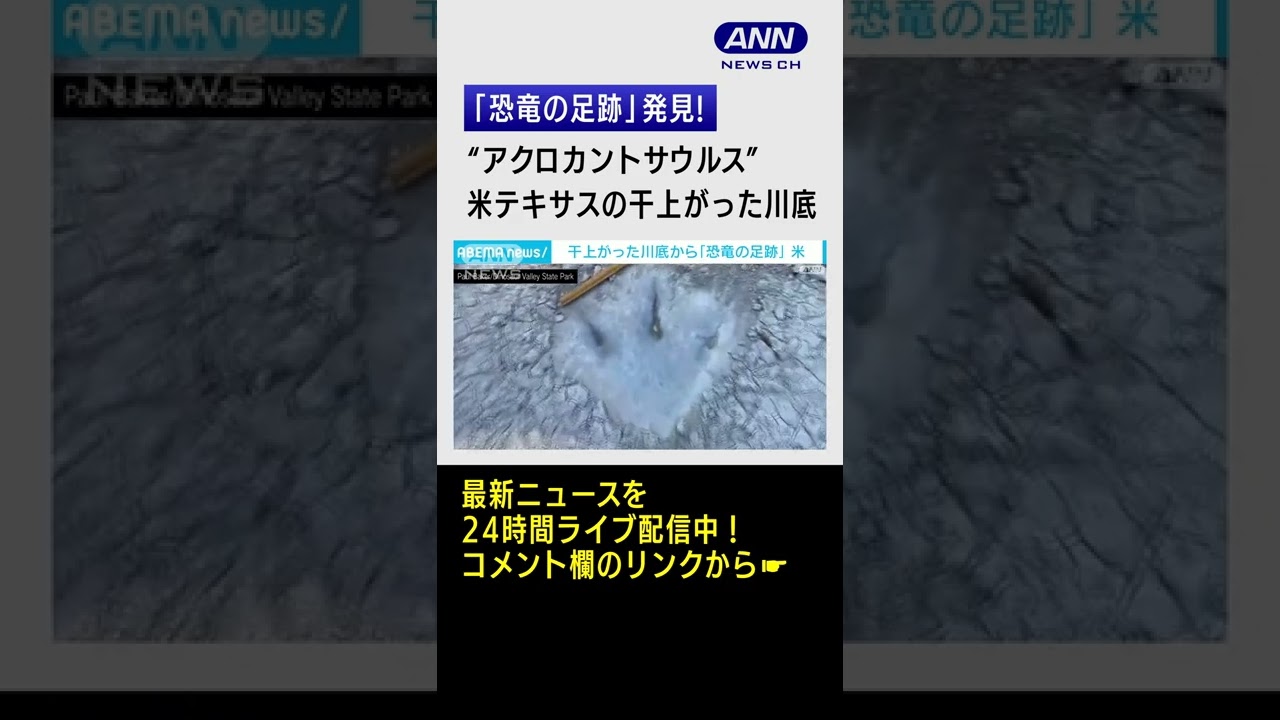 【発見】干上がった川底から1億1300万年前の恐竜＂アクロカントサウルス＂の足跡　米テキサス #shorts