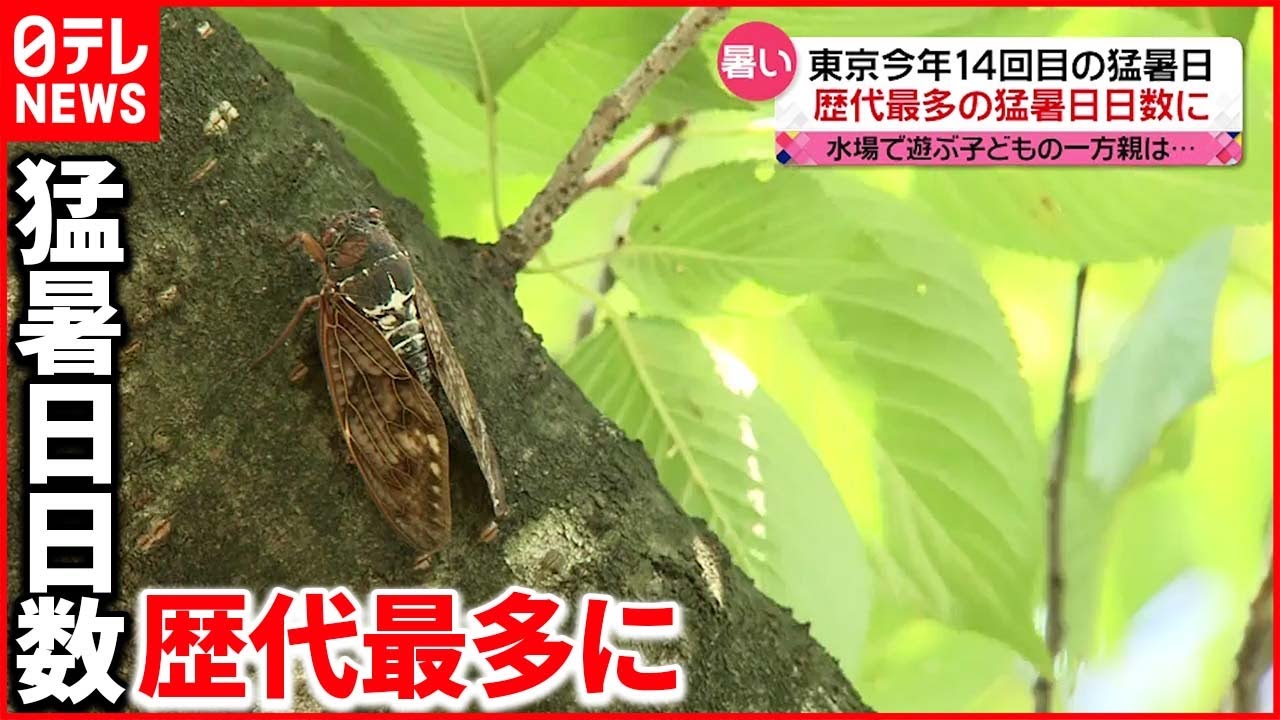 【きょうの1日】東京都心…今年14回目の猛暑日 よさこい祭りの準備も進む