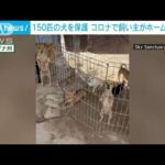 ホームレス家族に飼われた犬150匹を保護　過酷下ながら“みな元気”(2022年8月21日)