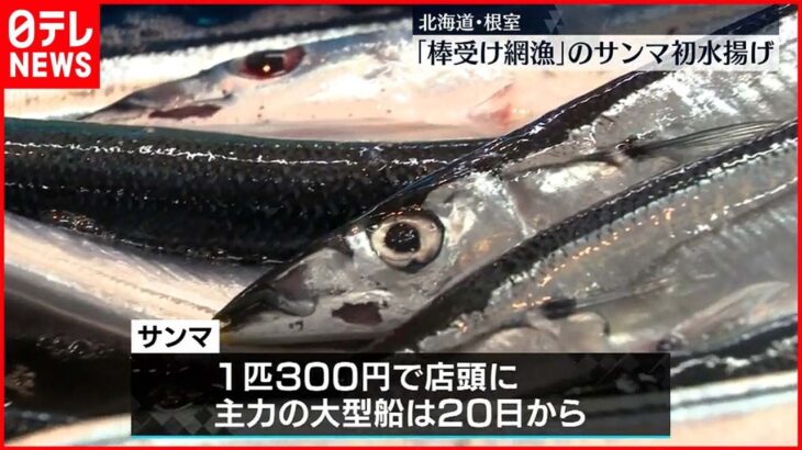 【最高値は1キロ5万4000円】「棒受け網漁」サンマ初水揚げ 根室・花咲港