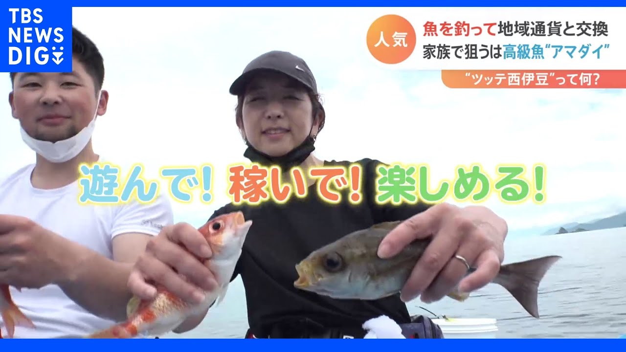 マダイ1匹でスイーツ?イサキ7匹で露天風呂?釣った魚が“お金”に変わる 新しい遊び方“ツッテ西伊豆”|TBS NEWS DIG