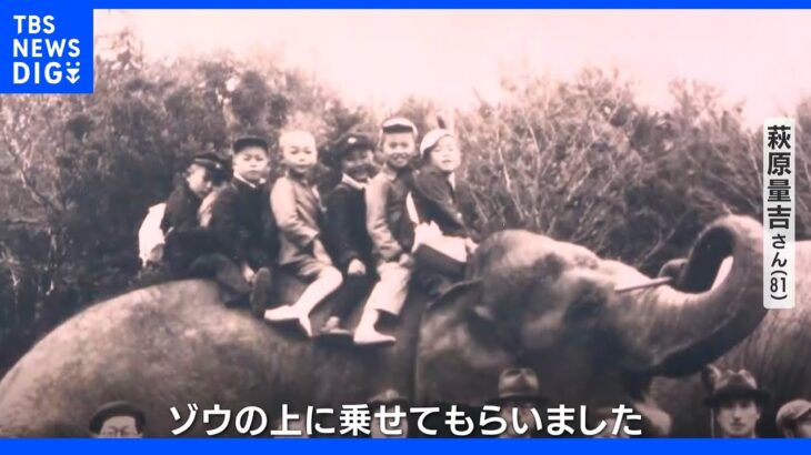 戦争で殺された動物たち…生き残った2頭のゾウへ子ども運んだ臨時列車”ぞうれっしゃ”とは | TBS NEWS DIG