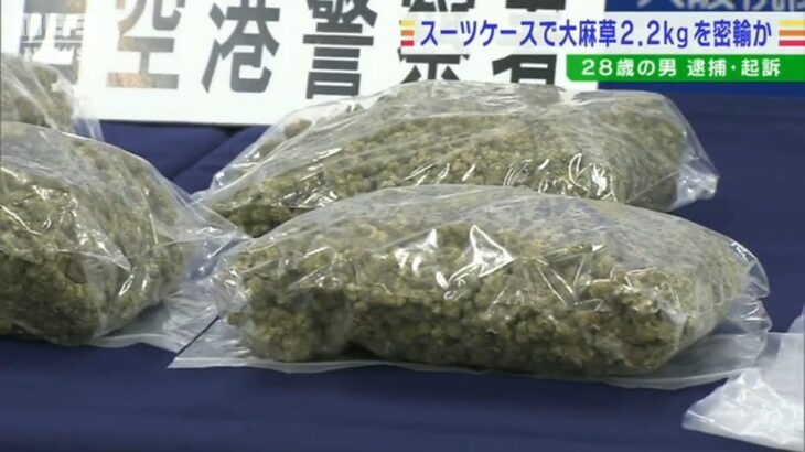 大麻草2.2kgをスーツケースに隠し密輸か…２８歳の男を逮捕・起訴　押収量は過去3番目(2022年8月3日)