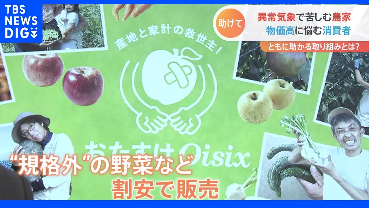“サイズは2倍で価格は通常とほぼ同じ”　異常気象被害の“規格外野菜”をお手頃販売｜TBS&nbsp;NEWS&nbsp;DIG