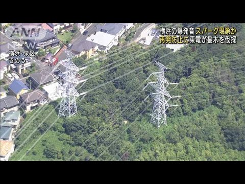 横浜の爆発音は「スパーク」現象　樹木伐採(2022年8月20日)