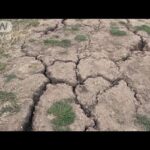英政府が一部地域に「干ばつ宣言」(2022年8月13日)