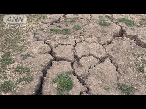 英政府が一部地域に「干ばつ宣言」(2022年8月13日)