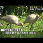 石川・島根で「トキ」放鳥へ　2026年以降目指す(2022年8月5日)