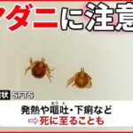 【マダニ】夏に活動活発化 感染症で“死亡”も… 住宅エリアや都内の緑地でも