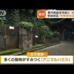 【独自】「アニマルハウス」都内高級住宅街に“謎の廃墟群”…“数億円”土地も放置で(2022年8月2日)