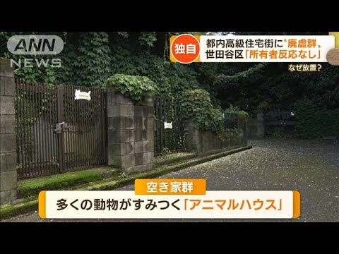 【独自】「アニマルハウス」都内高級住宅街に“謎の廃墟群”…“数億円”土地も放置で(2022年8月2日)