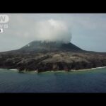 【ノーカット】西之島の最新映像 噴火後初めて発見も…70種類以上の生物を確認(2022年8月2日)