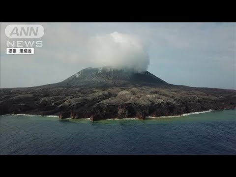 【ノーカット】西之島の最新映像 噴火後初めて発見も…70種類以上の生物を確認(2022年8月2日)