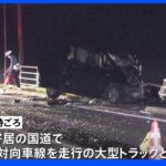 栃木・那須町で乗用車と大型トラックが正面衝突　乗用車の71歳女性と9歳の男の子が重傷｜TBS NEWS DIG