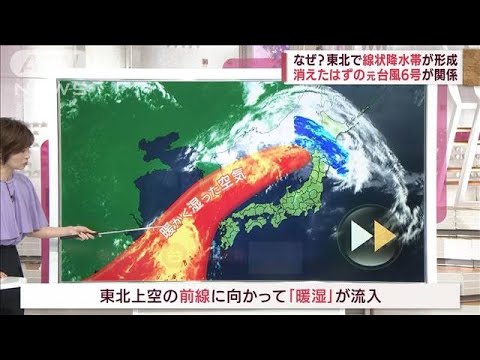 東北に線状降水帯のワケ　元をたどると東シナ海の“台風6号”(2022年8月3日)