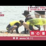 東京の猛暑日“年間最多”に並ぶ　“危険な暑さ”熱中症でコロナも感染(2022年8月3日)