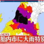 【速報】新潟県胎内市に大雨特別警報