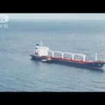 “呉越同舟”避け　ウクライナ産穀物積んだ船を検査(2022年8月3日)