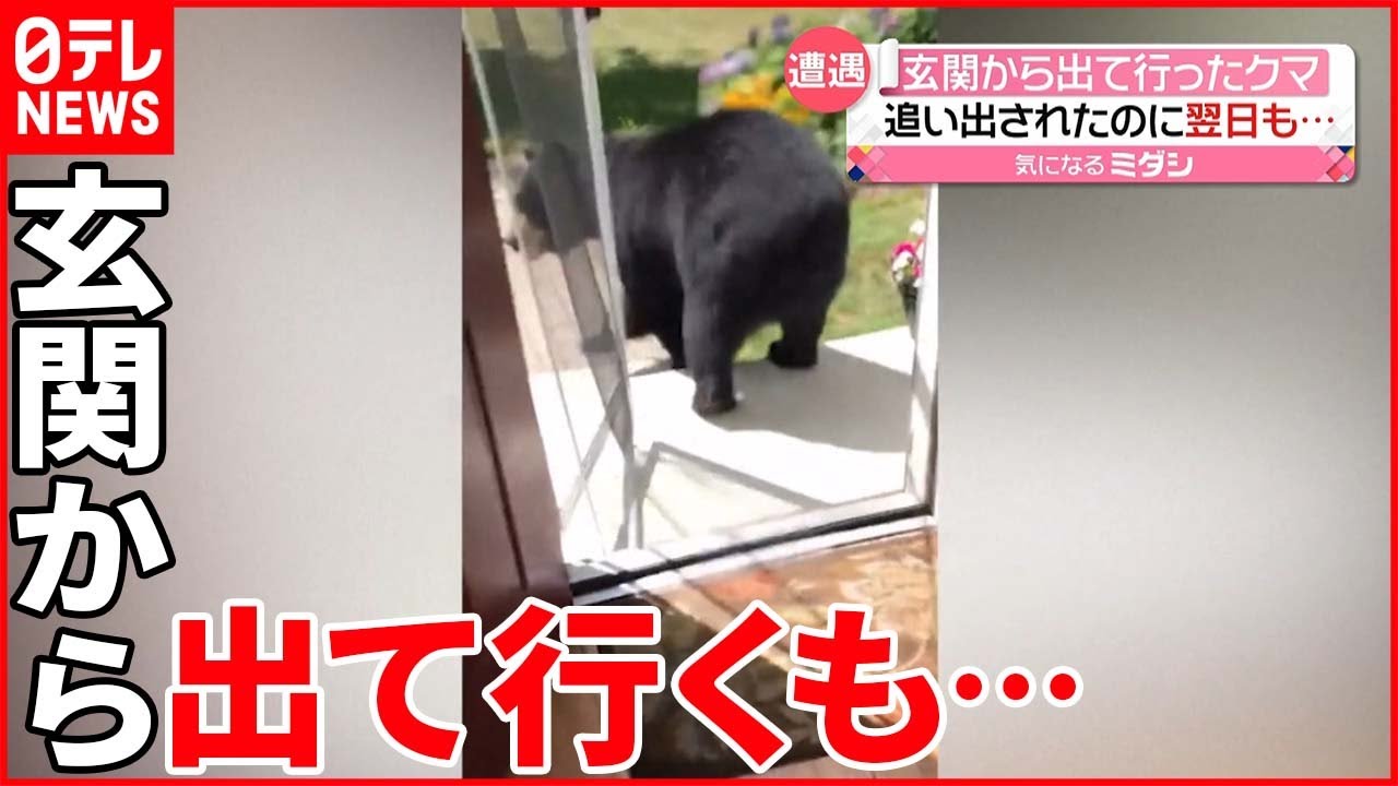 【アメリカ】住宅に侵入したクマ 玄関から出て行ったが翌日も…