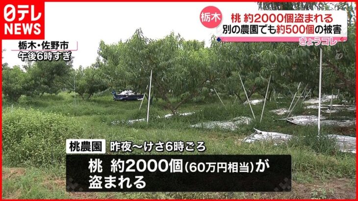 【被害】大量に盗まれる事件相次ぐ 注意呼びかけ 栃木