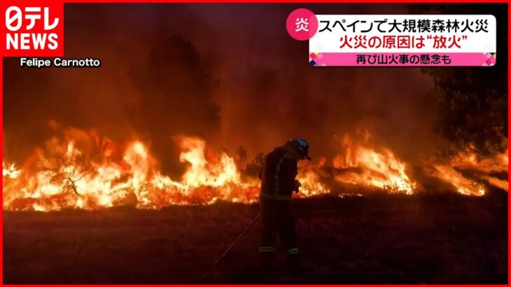 【スペイン】大規模な森林火災発生 原因は“放火”